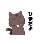 ゆかいなねこちゃんず（個別スタンプ：16）