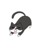 ゆかいなねこちゃんず（個別スタンプ：27）
