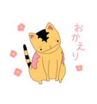トラジロウ（個別スタンプ：19）