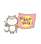 応援するねこ（個別スタンプ：5）