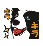 ボーダーコリーくんの日常（個別スタンプ：11）