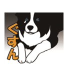 ボーダーコリーくんの日常（個別スタンプ：14）