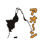 ボーダーコリーくんの日常（個別スタンプ：17）