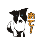 ボーダーコリーくんの日常（個別スタンプ：18）