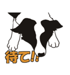 ボーダーコリーくんの日常（個別スタンプ：19）