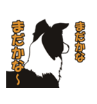 ボーダーコリーくんの日常（個別スタンプ：20）
