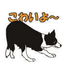 ボーダーコリーくんの日常（個別スタンプ：25）