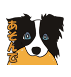 ボーダーコリーくんの日常（個別スタンプ：27）