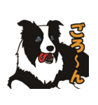 ボーダーコリーくんの日常（個別スタンプ：29）