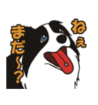 ボーダーコリーくんの日常（個別スタンプ：30）