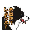 ボーダーコリーくんの日常（個別スタンプ：34）