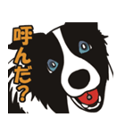 ボーダーコリーくんの日常（個別スタンプ：38）