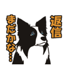 ボーダーコリーくんの日常（個別スタンプ：39）