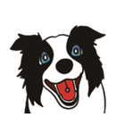 ボーダーコリーくんの日常（個別スタンプ：40）
