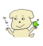 もかわんわん。（個別スタンプ：25）