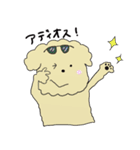 もかわんわん。（個別スタンプ：40）