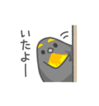 続・毎日つかえる！福島弁（個別スタンプ：24）