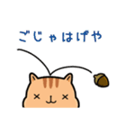 讃岐弁りす（個別スタンプ：26）