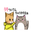 にゃあ太郎スタンプ －関西弁版2ー（個別スタンプ：29）