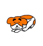 eyebrows  dog（個別スタンプ：31）