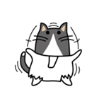 袋猫「ぷく」～レジ袋が好き！（個別スタンプ：2）