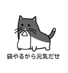 袋猫「ぷく」～レジ袋が好き！（個別スタンプ：40）