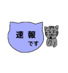 シンプル猫ボード ～基本編～（個別スタンプ：40）