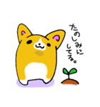 ゆるかわコーギー（個別スタンプ：19）