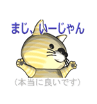 猫の「とら太」は横浜生まれ（横浜弁？）（個別スタンプ：6）