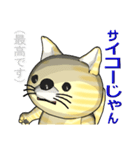 猫の「とら太」は横浜生まれ（横浜弁？）（個別スタンプ：8）