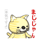 猫の「とら太」は横浜生まれ（横浜弁？）（個別スタンプ：11）