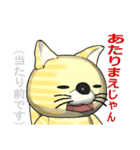 猫の「とら太」は横浜生まれ（横浜弁？）（個別スタンプ：12）