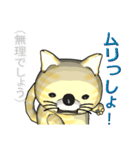 猫の「とら太」は横浜生まれ（横浜弁？）（個別スタンプ：16）