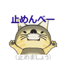 猫の「とら太」は横浜生まれ（横浜弁？）（個別スタンプ：19）
