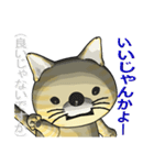 猫の「とら太」は横浜生まれ（横浜弁？）（個別スタンプ：20）