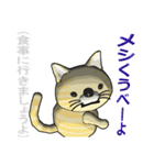 猫の「とら太」は横浜生まれ（横浜弁？）（個別スタンプ：28）