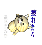 猫の「とら太」は横浜生まれ（横浜弁？）（個別スタンプ：35）