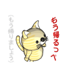 猫の「とら太」は横浜生まれ（横浜弁？）（個別スタンプ：36）