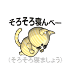 猫の「とら太」は横浜生まれ（横浜弁？）（個別スタンプ：39）