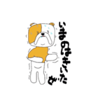 ブルタ（個別スタンプ：40）