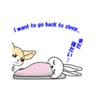 フェネック狐のシロちゃんとオレンジちゃん（個別スタンプ：4）