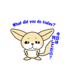 フェネック狐のシロちゃんとオレンジちゃん（個別スタンプ：6）