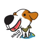 The Cash~funny dog jumping to the world~（個別スタンプ：1）