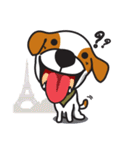 The Cash~funny dog jumping to the world~（個別スタンプ：4）