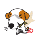 The Cash~funny dog jumping to the world~（個別スタンプ：5）