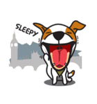 The Cash~funny dog jumping to the world~（個別スタンプ：11）