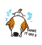 The Cash~funny dog jumping to the world~（個別スタンプ：17）