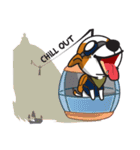 The Cash~funny dog jumping to the world~（個別スタンプ：20）