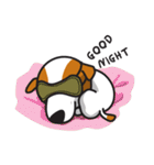 The Cash~funny dog jumping to the world~（個別スタンプ：36）
