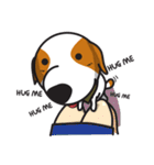 The Cash~funny dog jumping to the world~（個別スタンプ：38）